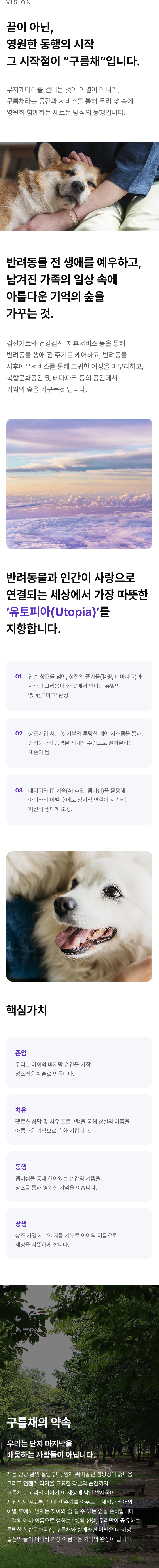 vision 이미지